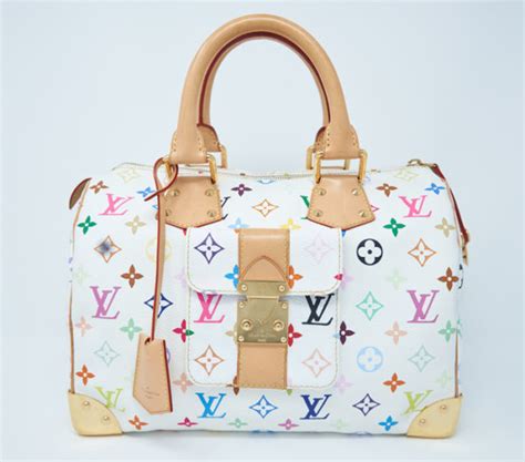 louis vuitton speedy colorful|louis vuitton speedy monogram.